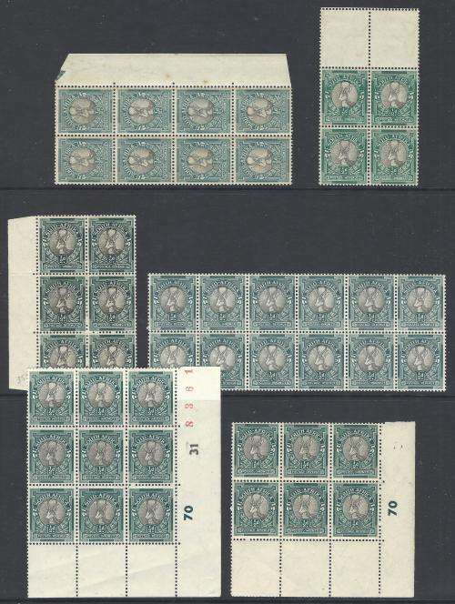 Union: Extensive Springbok Collection of 54 blocks. Varieties aplenty. VFM/MNH/MM. See below.