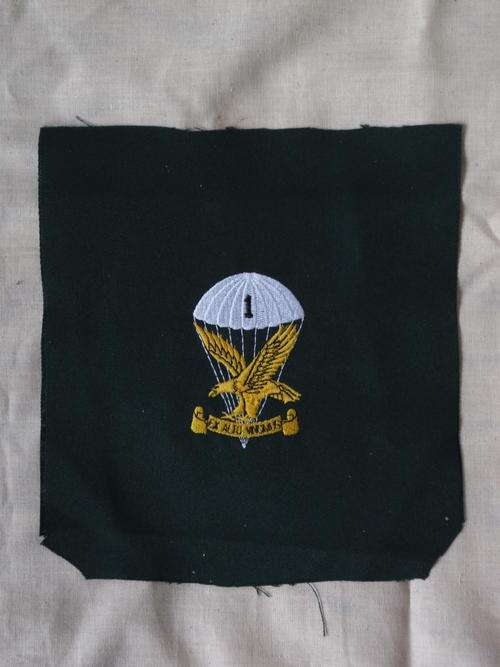 1 parachute blazer badge