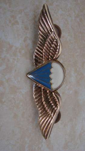 sadf basic para dress wings