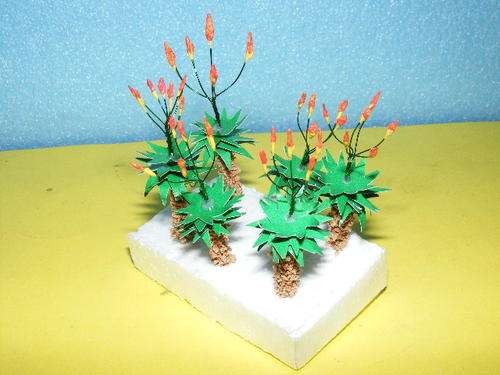 HO Aloes X 6 - Large