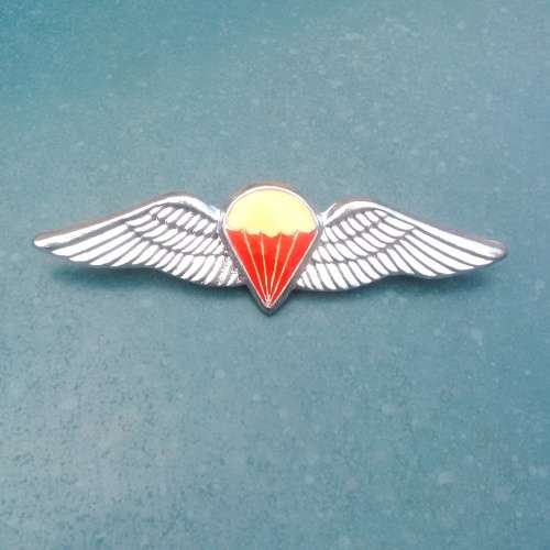 Parabats Free Fall Qualification wings