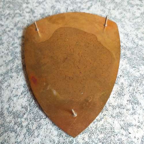 33 Field Ambulance, all pins intact