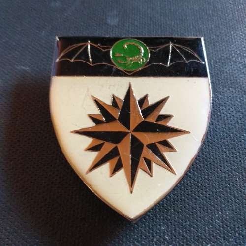 2 Recce Regiment approved 1983 ,left hand flash all pins intact