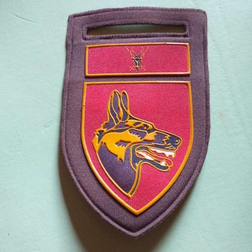 Sadf Dog School Tupper flash.