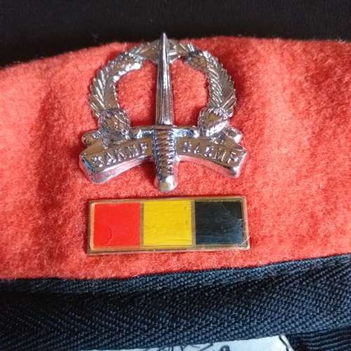 Provost School Beret, no.2 all pins intact
