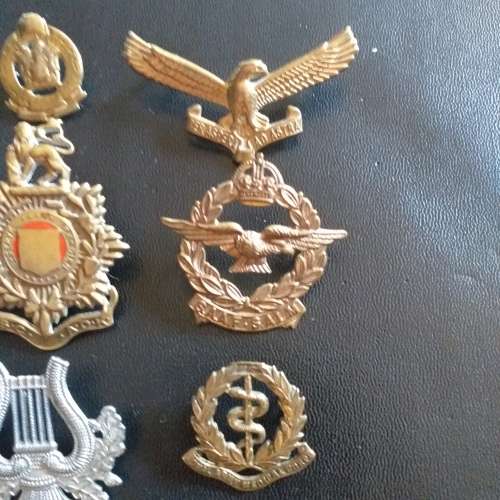 SADF Badges, all pins intact