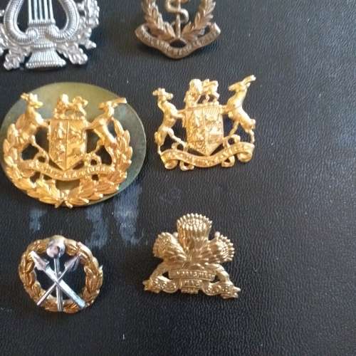 SADF Badges, all pins intact