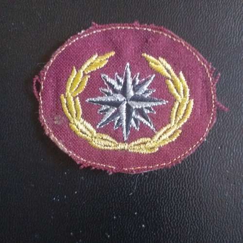 Special Forces Beret badge