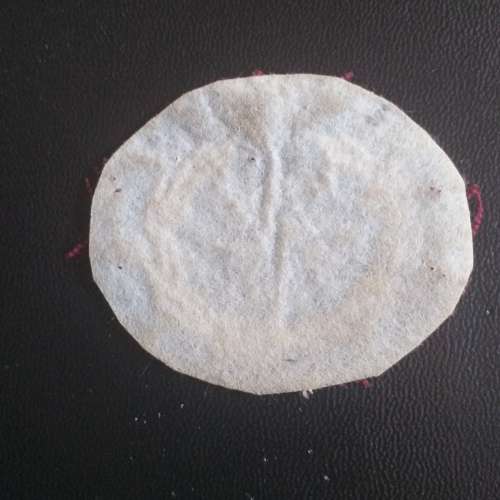 Special Forces Beret badge