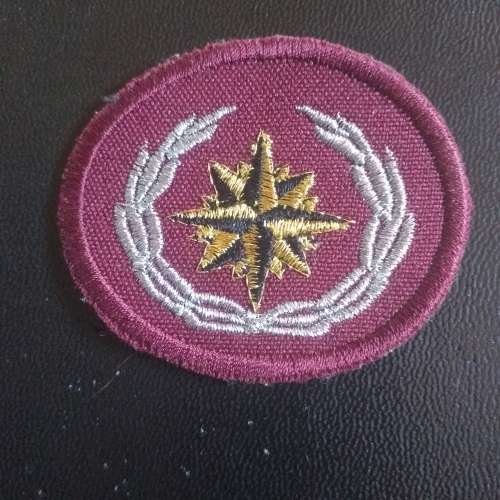 Special Forces Beret badge