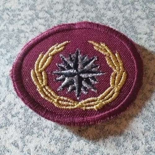 Special Forces Beret badge.