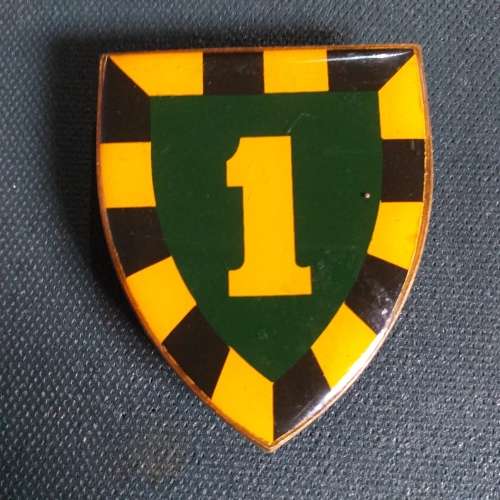 1 SA Infantry, 1st Type