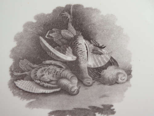 Rare Bat-printed Spode porcelain plate 1803-1807 Ref.P.50