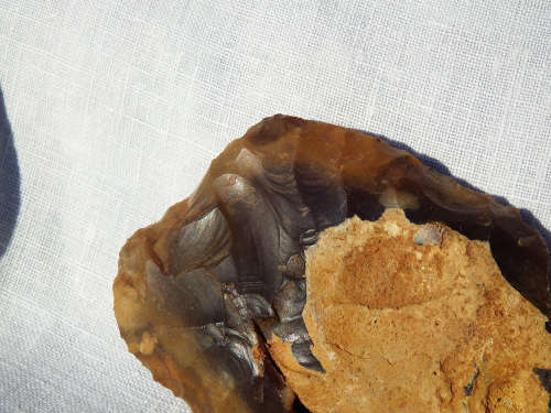 Middle/Lower Palaeolithic flint scraper/hand axe, around 300,000 years BCE.- Ref.# SI/12