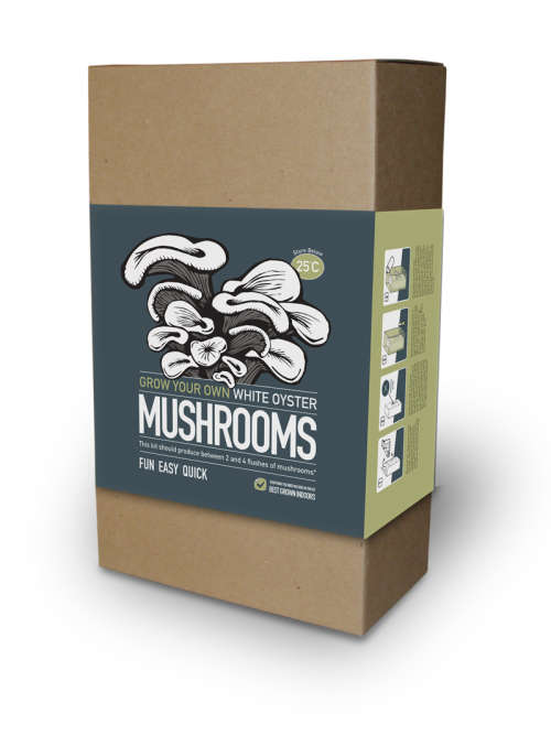White Oyster Mushroom Kit  - The Mushroom Factory