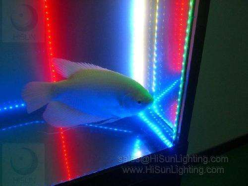 Waterproof Flexible 100CM 12V 24 Led Decorative Light  PVC LED Strip Light for Aquarium Fish tank