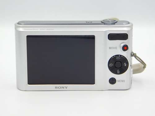 Sony Cybershot W800 Compact Digital Camera (20MP and 5x Optical Zoom)