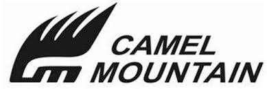 CAMEL MOUNTAIN ANTI-THEFT LAPTOP BAG WITH USB CHARGING PORT - Grey Colour