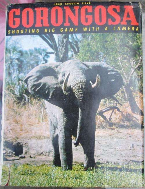 GORONGOSA **L.M. English Edition**