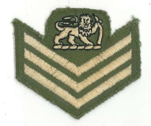 RHODESIAN ARMY BADGES
