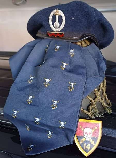 19 ROCKET REGIMENT INSIGNIA