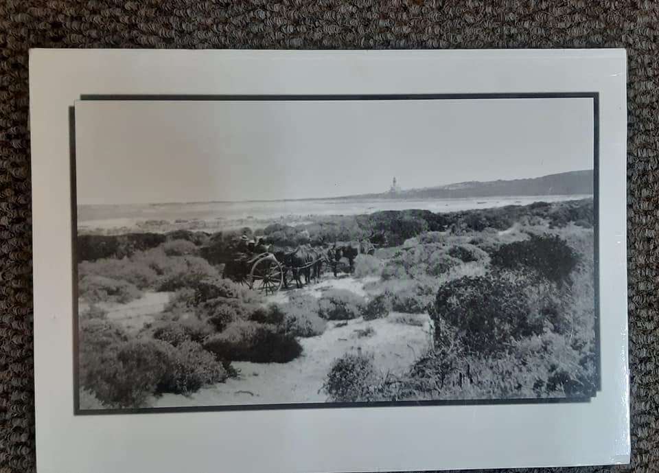 CAPE AGULHAS 1849-1949 **Signed**