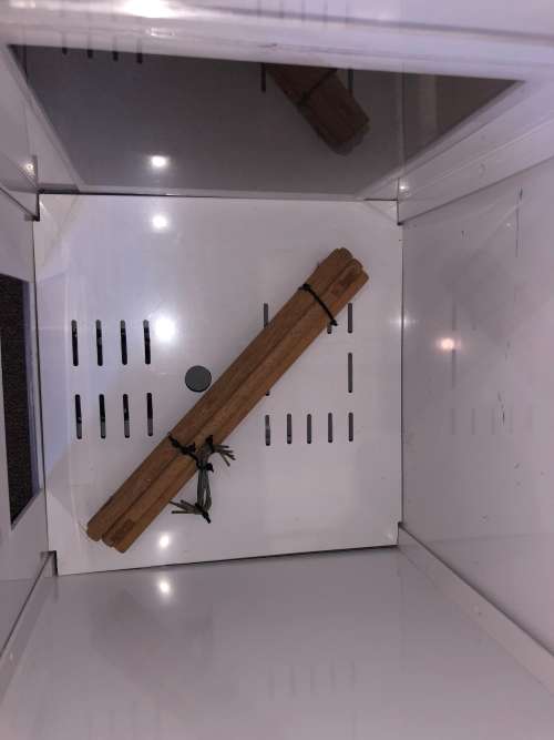 Biltong Maker & Fruit Dehydrator