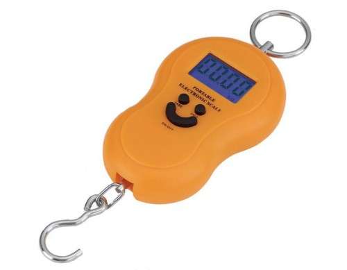 ELECTRONIC HANGING LUGGAGE/FISH PORTABLE DIGITAL WEIGHT SCALE.  Collections are allowed.