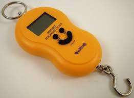 ELECTRONIC HANGING LUGGAGE/FISH PORTABLE DIGITAL WEIGHT SCALE.  Collections are allowed.