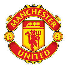 ICE BUCKET: MANCHESTER UNITED FC. Brand New Product. Collections are allowed.