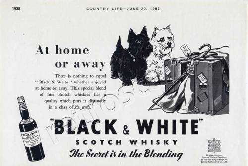 Ice Buckets: Black and White Scotch Whiskey. Brand New Products. Collections are allowed.