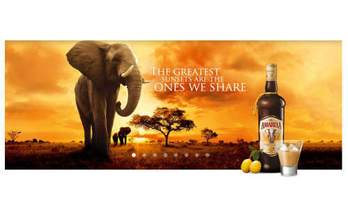 Ice Buckets: Amarula Premium Cream Liqueur. Brand New Products. Collections are allowed.