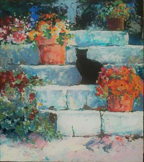 black cat on the steps with flower pots