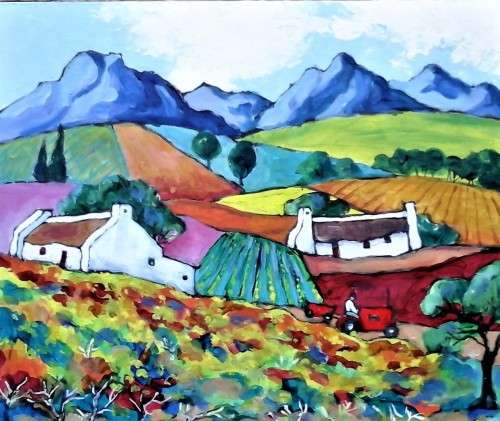 grapevines, fields, mountains cape winelands