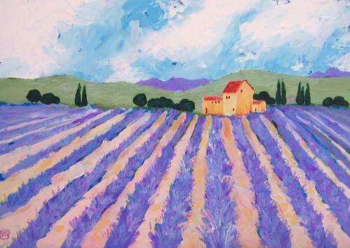 Lavender Fields