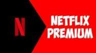 Netflix Premium, Netflix + email access