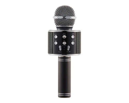Everlotus Wireless Karaoke Microphone - Black