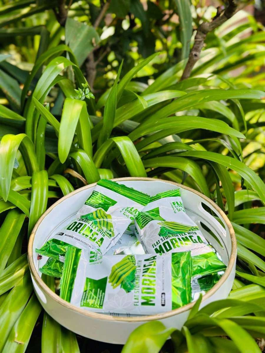 FST Moringa tea