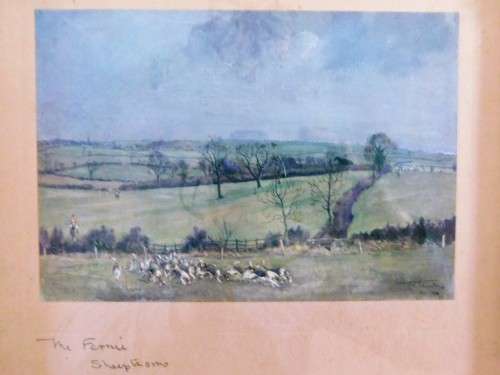 Three vintage prints in pretty gilded frames