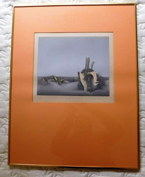 Amazing lithograph by well known SA artist WENDY VINCENT,SIGNED,DATED 1977,NUMBERED 21OF 40