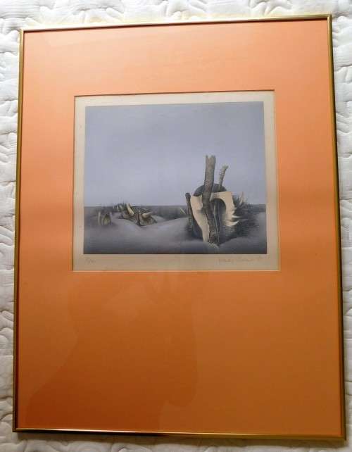 Amazing lithograph by well known SA artist WENDY VINCENT,SIGNED,DATED 1977,NUMBERED 21OF 40