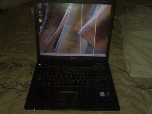HP nx6310 Laptop AMAZING DEAL One Day Only!!