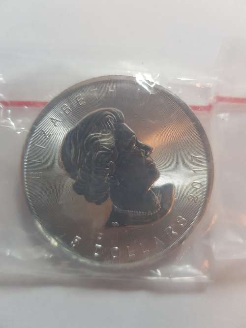 2017 Canadian Maples! 1 bid for both!