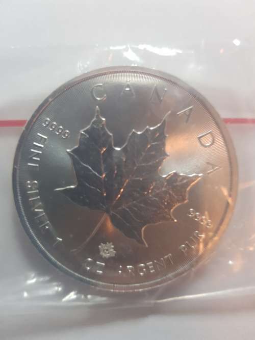 2017 Canadian Maples! 1 bid for both!