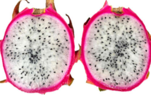 Sweet Cloud Dragon Fruit Cutting