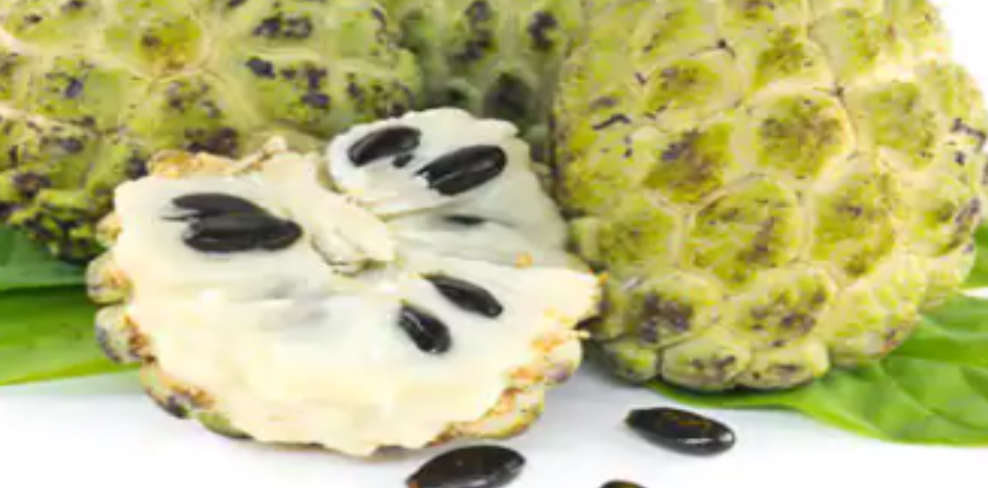 Green custard apple seed