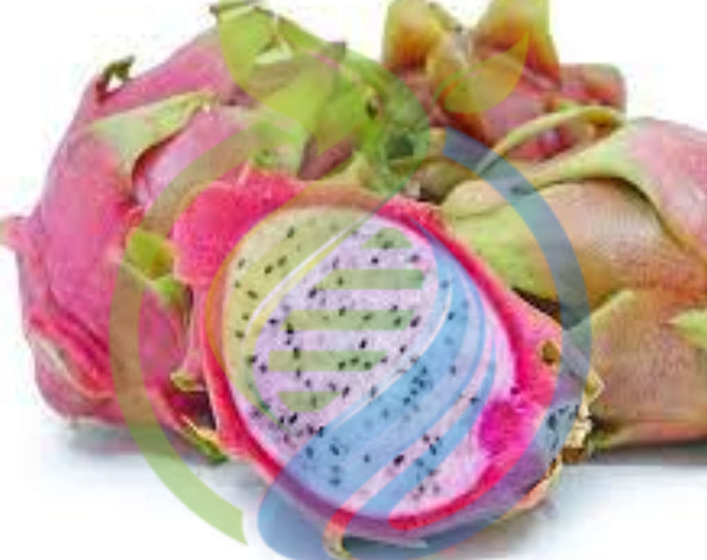 Delight Dragon fruit seed