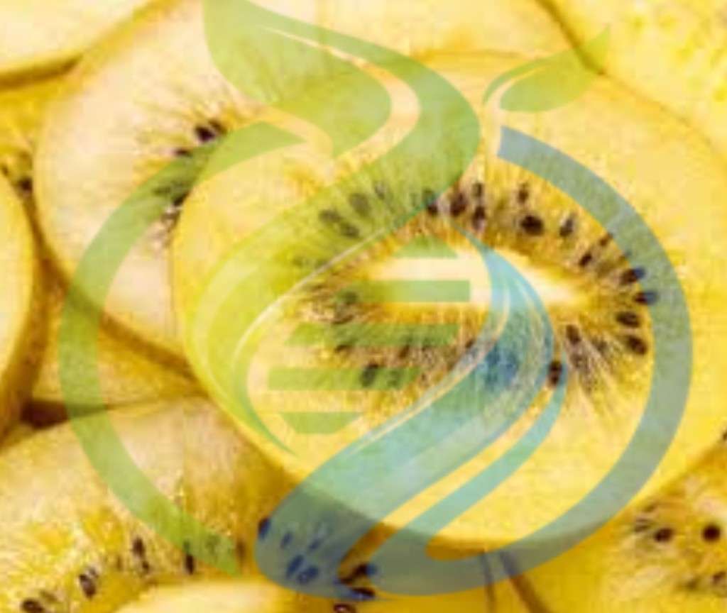 Golden Kiwi seeds