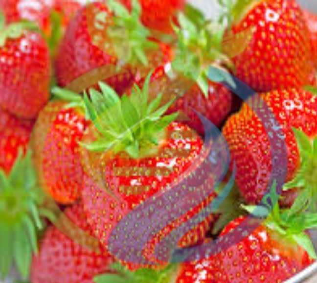 Chandler Strawberry Seed