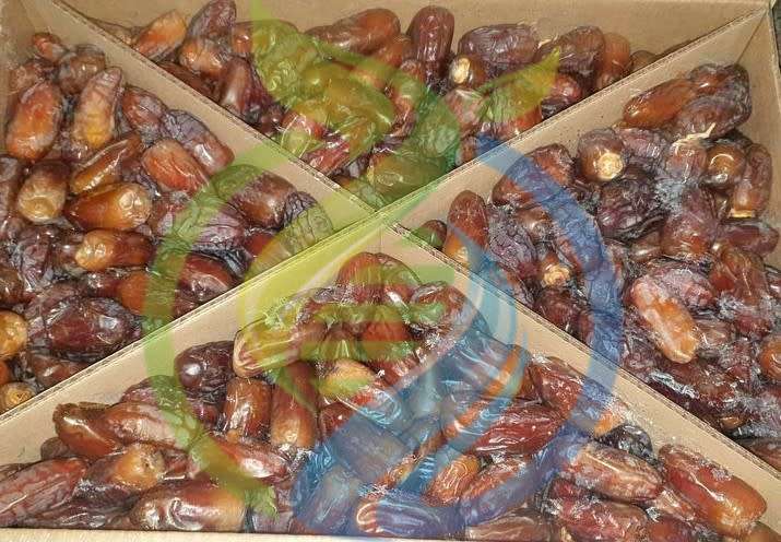 Madjool Dates Fresh